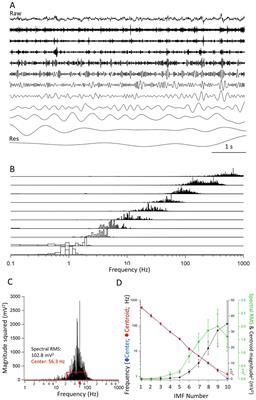 Capturing the power of seizures: an empirical mode decomposition analysis of epileptic activity in the mouse hippocampus